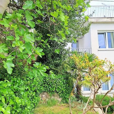 Maslina Trsat With Free Private Parking Rijeka